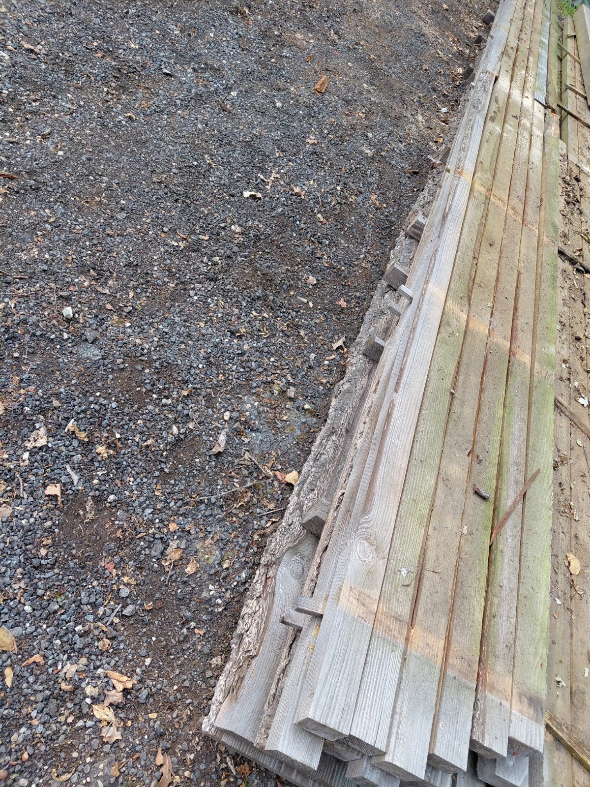 Douglas regels 5x7cm.  Douglas balken 6 meter lang., Ophalen, Nieuw, 250 cm of meer, Balken
