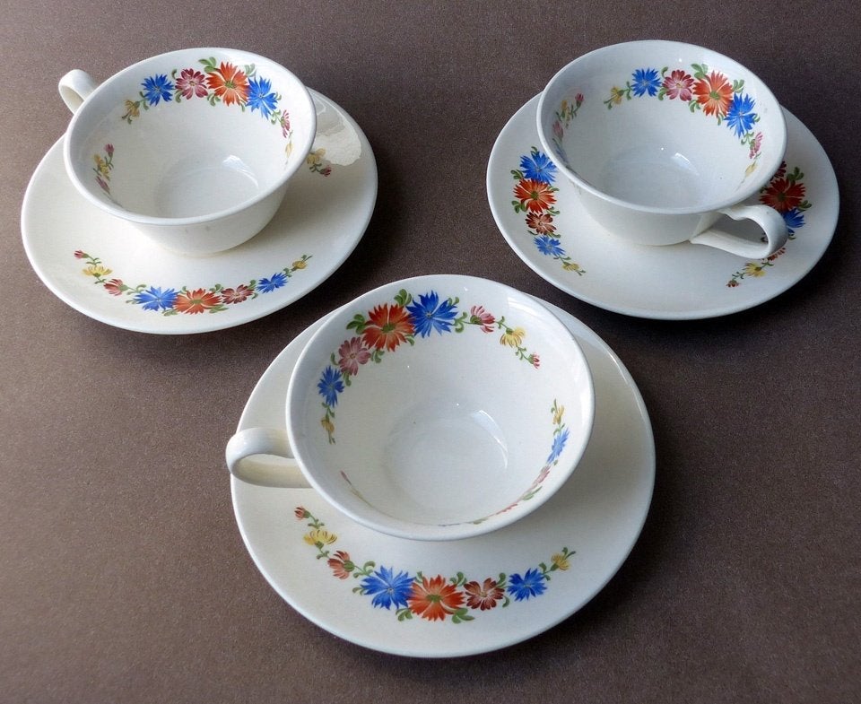 P. Regout Maastricht oude kopjes kop en schotels bloemdecor, Gebruikt, Ophalen of Verzenden, Overige stijlen, Kop(pen) en/of Schotel(s)