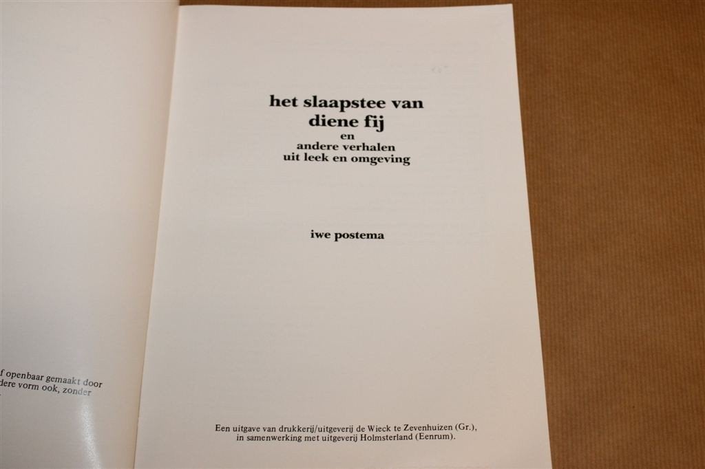 Slaapstee van Diene Fij — Verhalen uit Leek e.o., Boeken, Ophalen of Verzenden, Gelezen