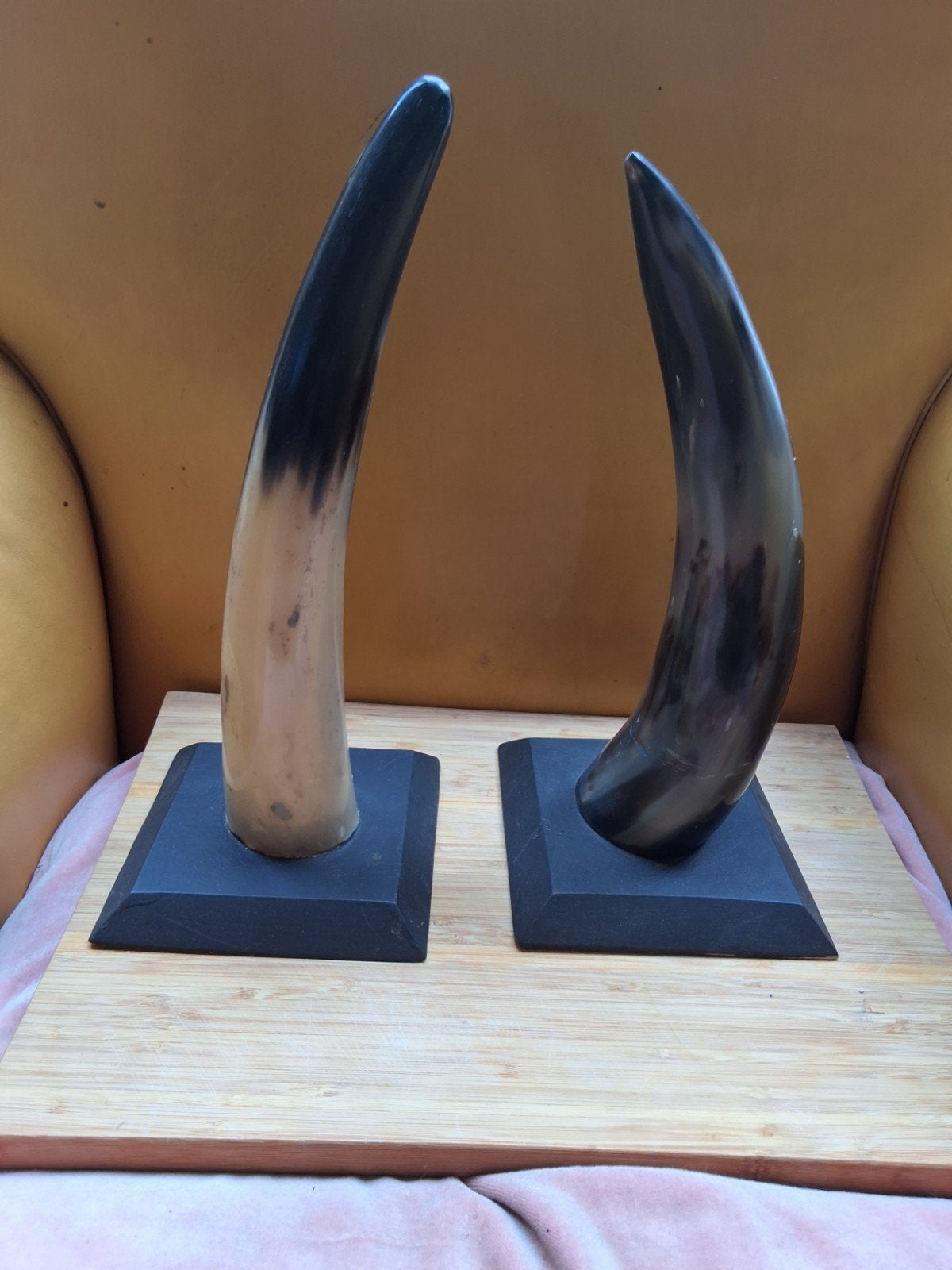 koe hoorns op standaard hoogte 35cm, Ophalen of Verzenden