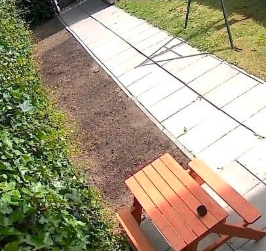 tuin tegels schuttingen straatwerk klusjes man, Diensten en Vakmensen
