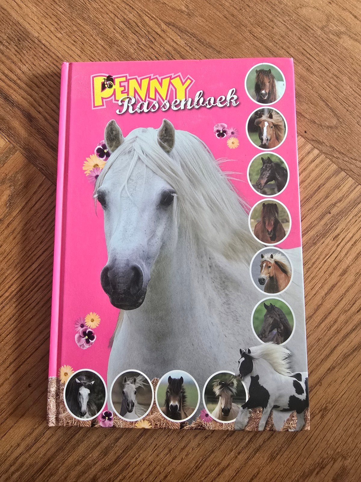 4 leuke paarden boeken!, Boeken, Ophalen, Zo goed als nieuw, Non-fictie