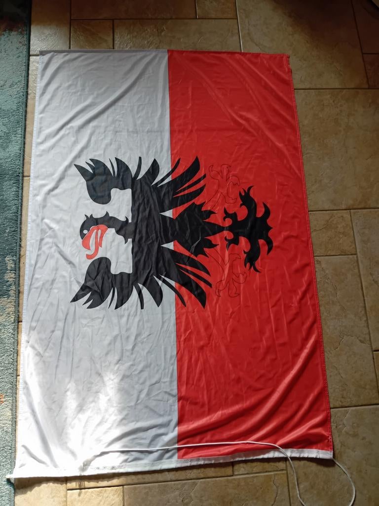 Vlag Deventer 150x90cm (Vlagdirect) gebruikt.sporen, Diversen, Ophalen of Verzenden, Gebruikt