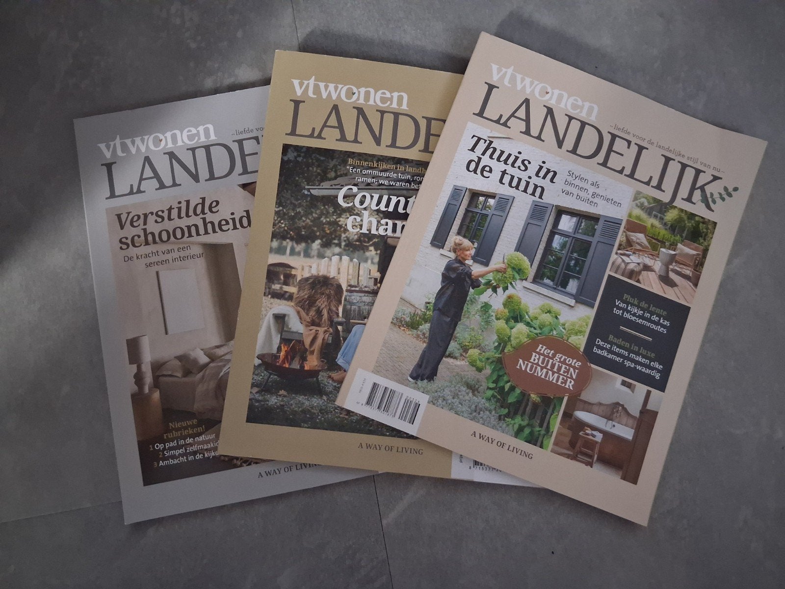 VtWonen Landelijk tijdschriften - 3 stuks, Ophalen of Verzenden, Gelezen, Overige typen