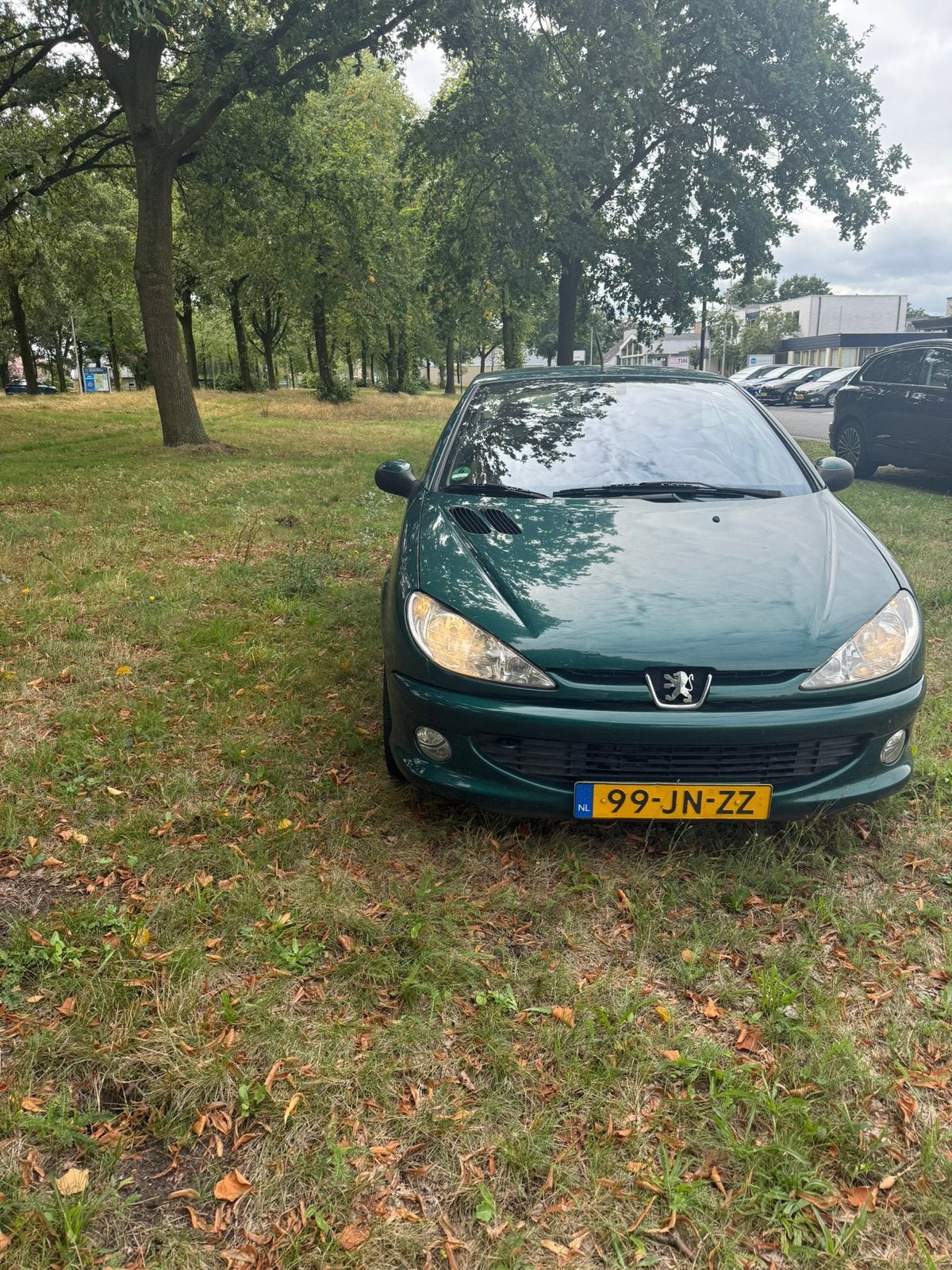Peugeot 206  1.6 16V CC 2002 Groen, Auto's, Voorwielaandrijving, 4 cilinders, Cabriolet, 4 stoelen
