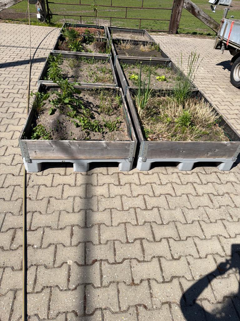 8 kunststof pallets ( H1) met borders voor moestuin, Tuin en Terras, Ophalen, Minder dan 100 cm, Minder dan 25 cm