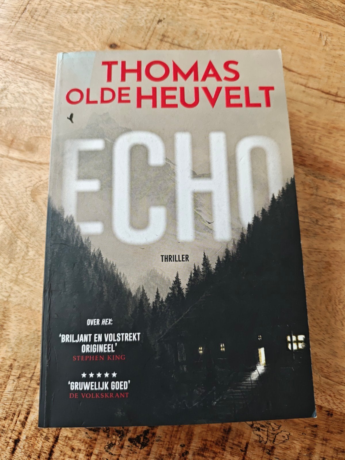 Echo - Thomas Olde Heuvelt (Thriller), Ophalen of Verzenden, Zo goed als nieuw, Thomas Olde Heuvelt, Nederland