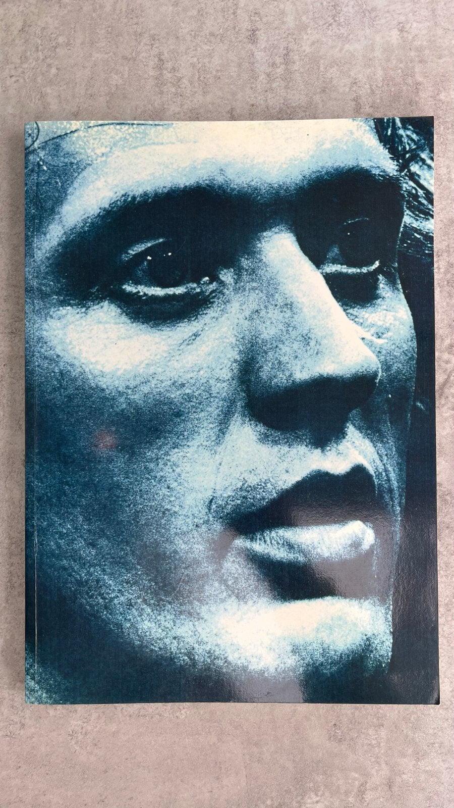 Herman van Veen Boek - Gesigneerd exemplaar, Ophalen of Verzenden, Zo goed als nieuw, Nederland