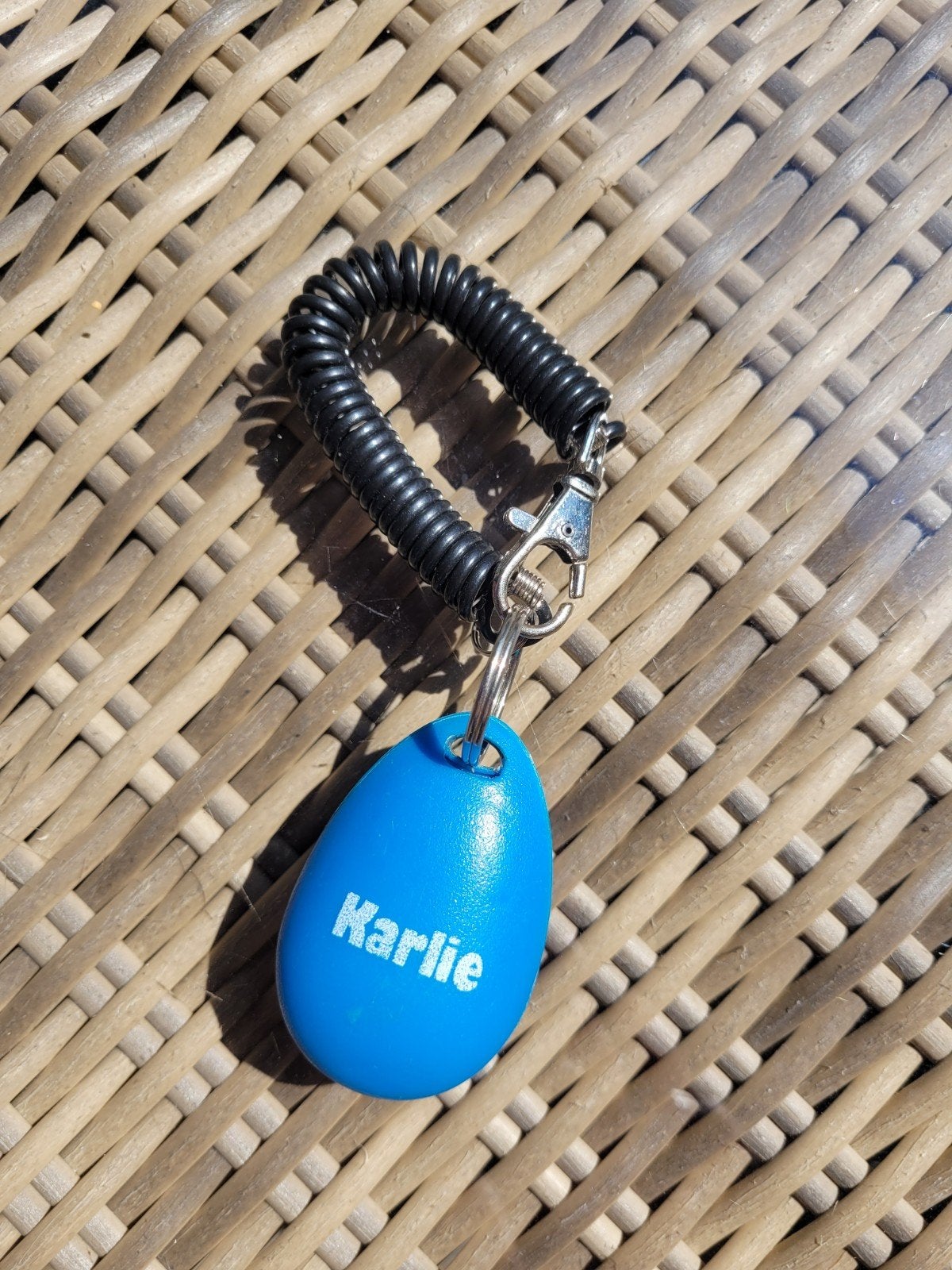 Zgan Karlie clicker voor trainen, Dieren en Toebehoren, Honden-accessoires, Ophalen of Verzenden, Zo goed als nieuw, Overige typen