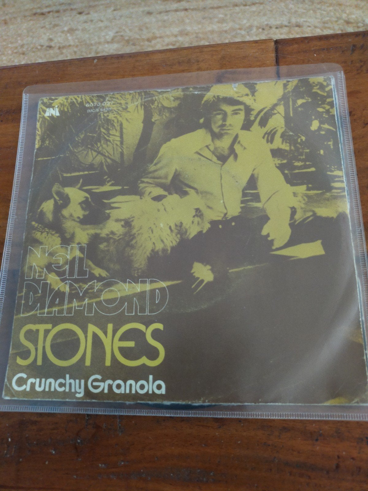 Neil Diamond , Stones, Ophalen of Verzenden, Zo goed als nieuw, Pop