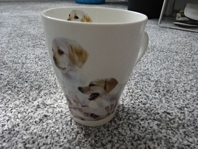 Beker LABRADOR van Sweet Lake Collection, Ophalen of Verzenden, Nieuw