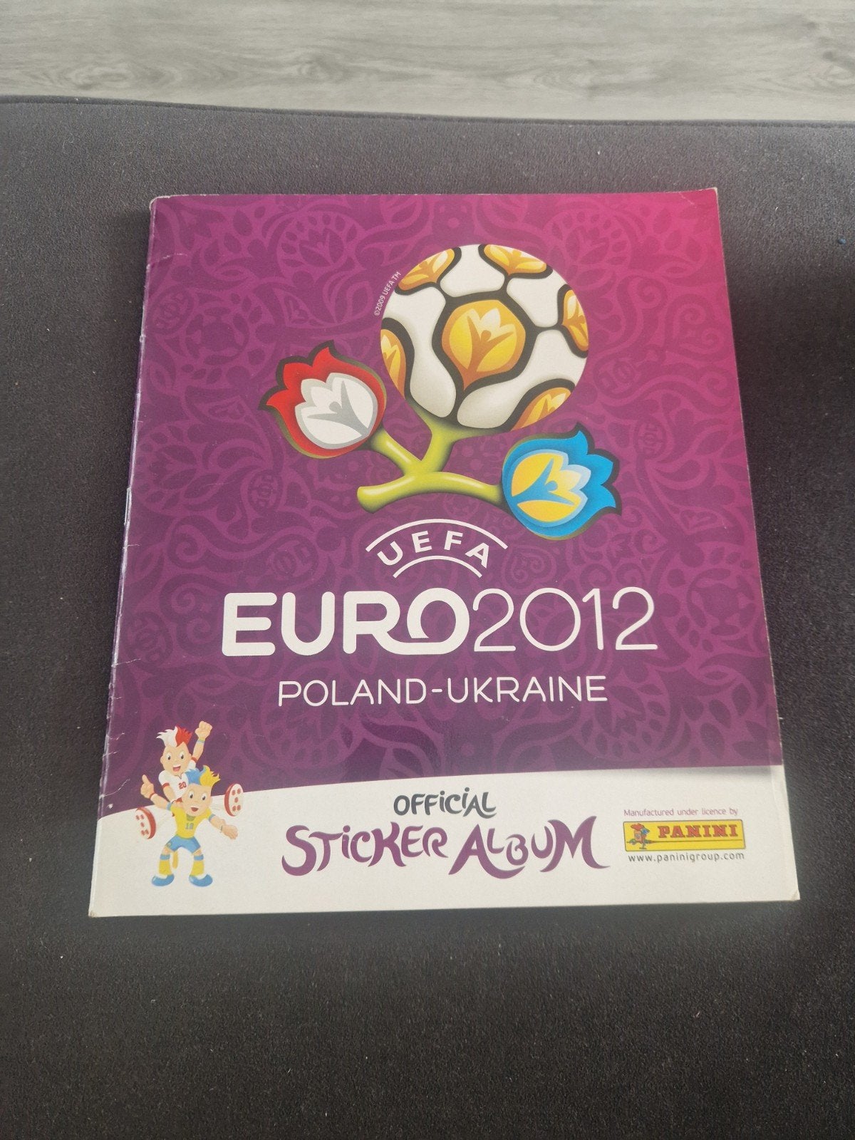 Panini UEFA Euro 2012 Sticker Album - Compleet, Ophalen of Verzenden, Zo goed als nieuw