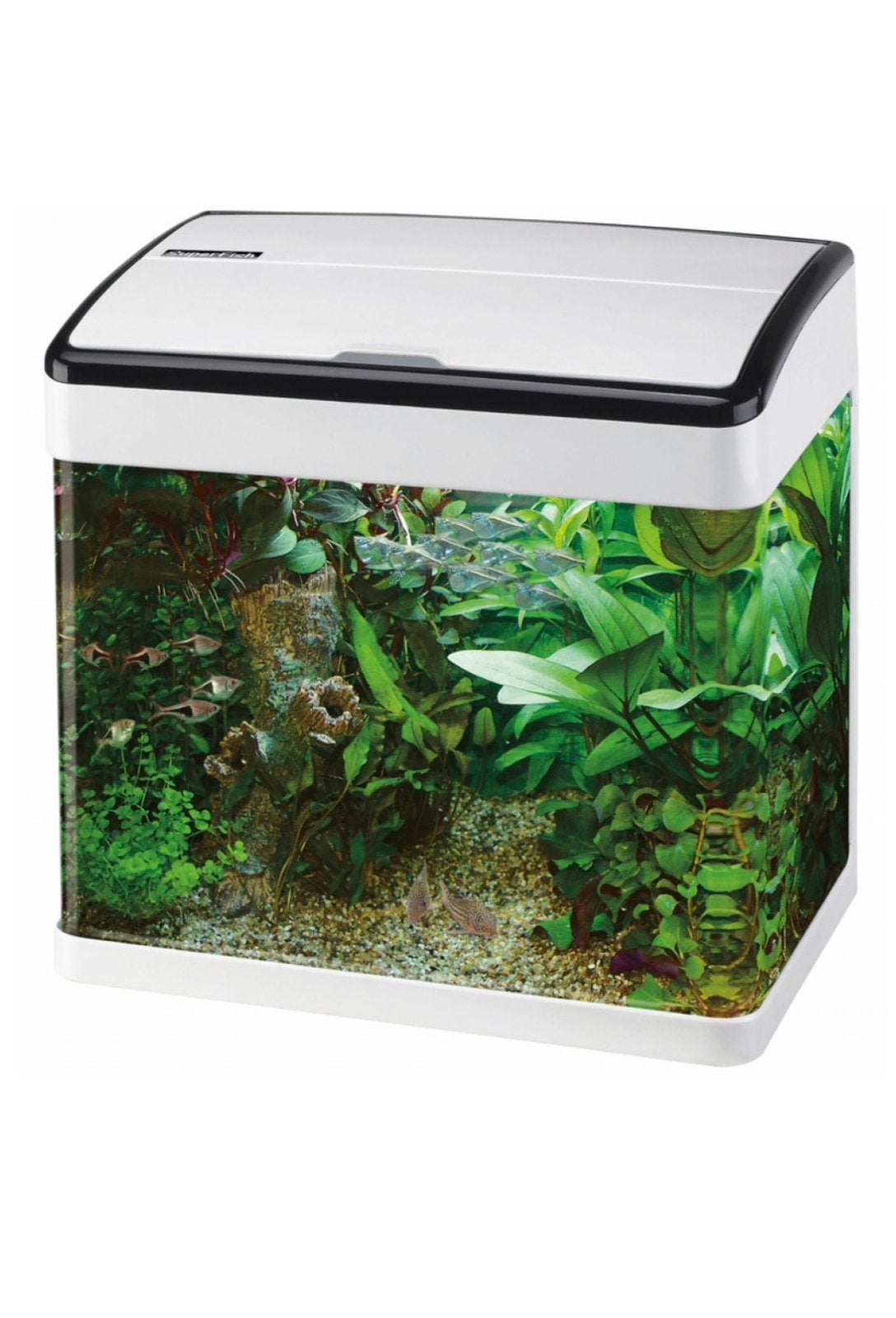 Aqarium, Ophalen, Zo goed als nieuw, Leeg aquarium