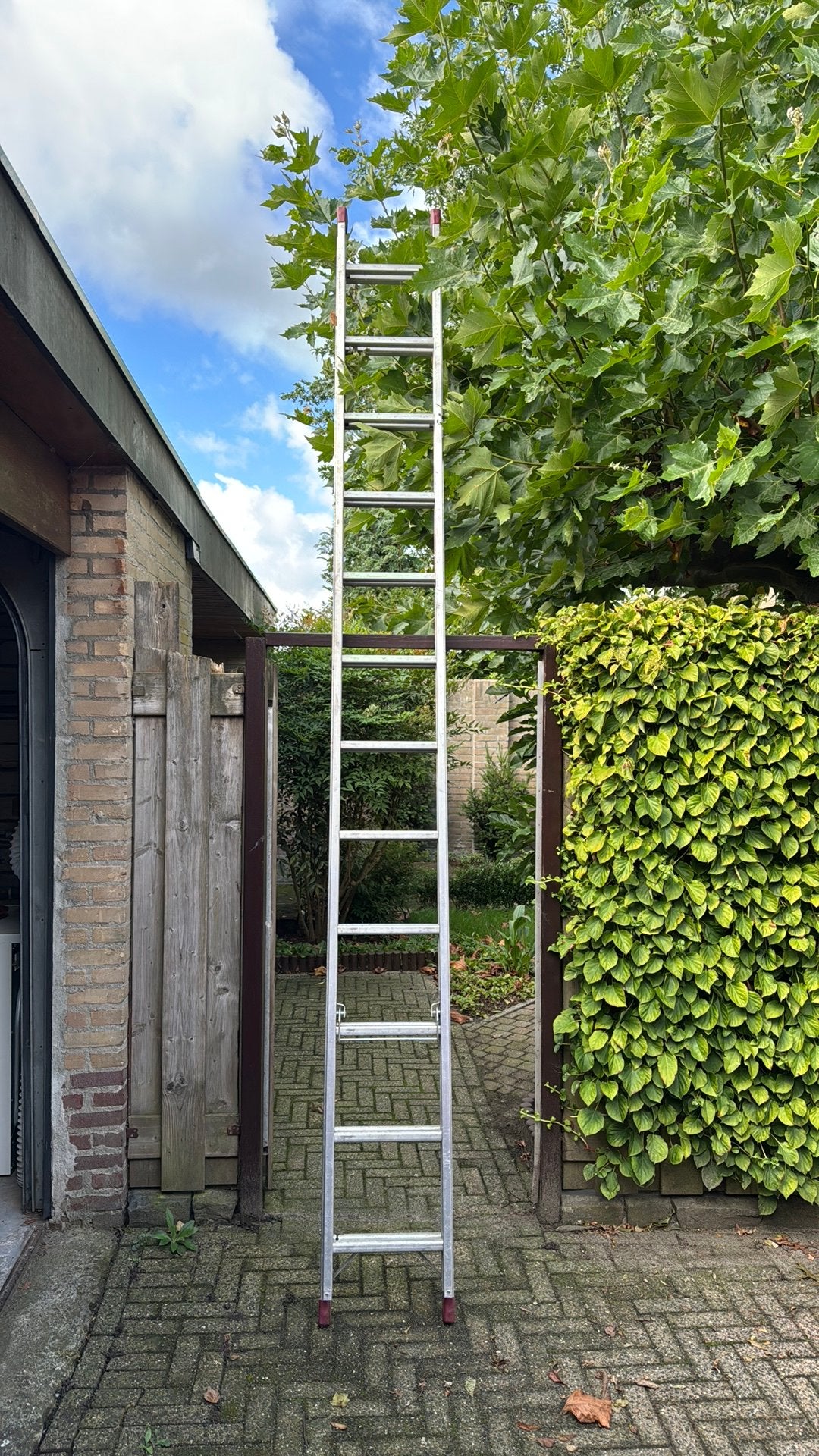 2x12 trede uitschuifbare steekladder, Ophalen, Gebruikt, Ladder, 4 meter of meer