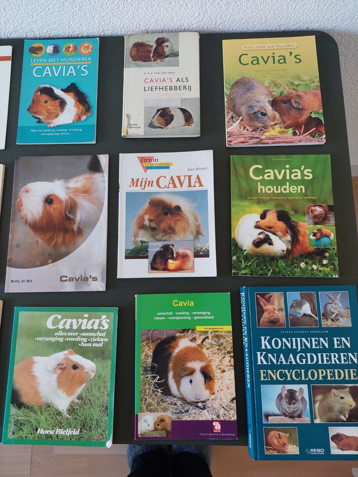 Grote collectie cavia boeken - alles over cavia's, Ophalen of Verzenden, Zo goed als nieuw, Konijnen of Knaagdieren, Diverse auteurs
