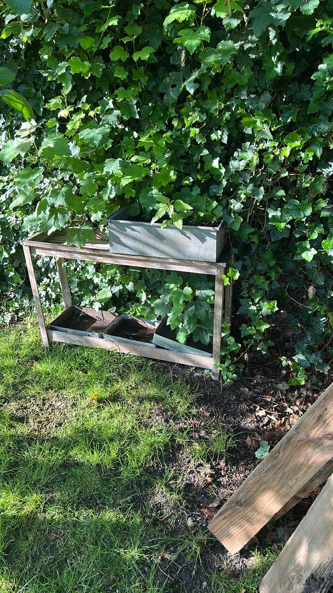 Kweektafel, Ophalen, Rond, Minder dan 30 cm