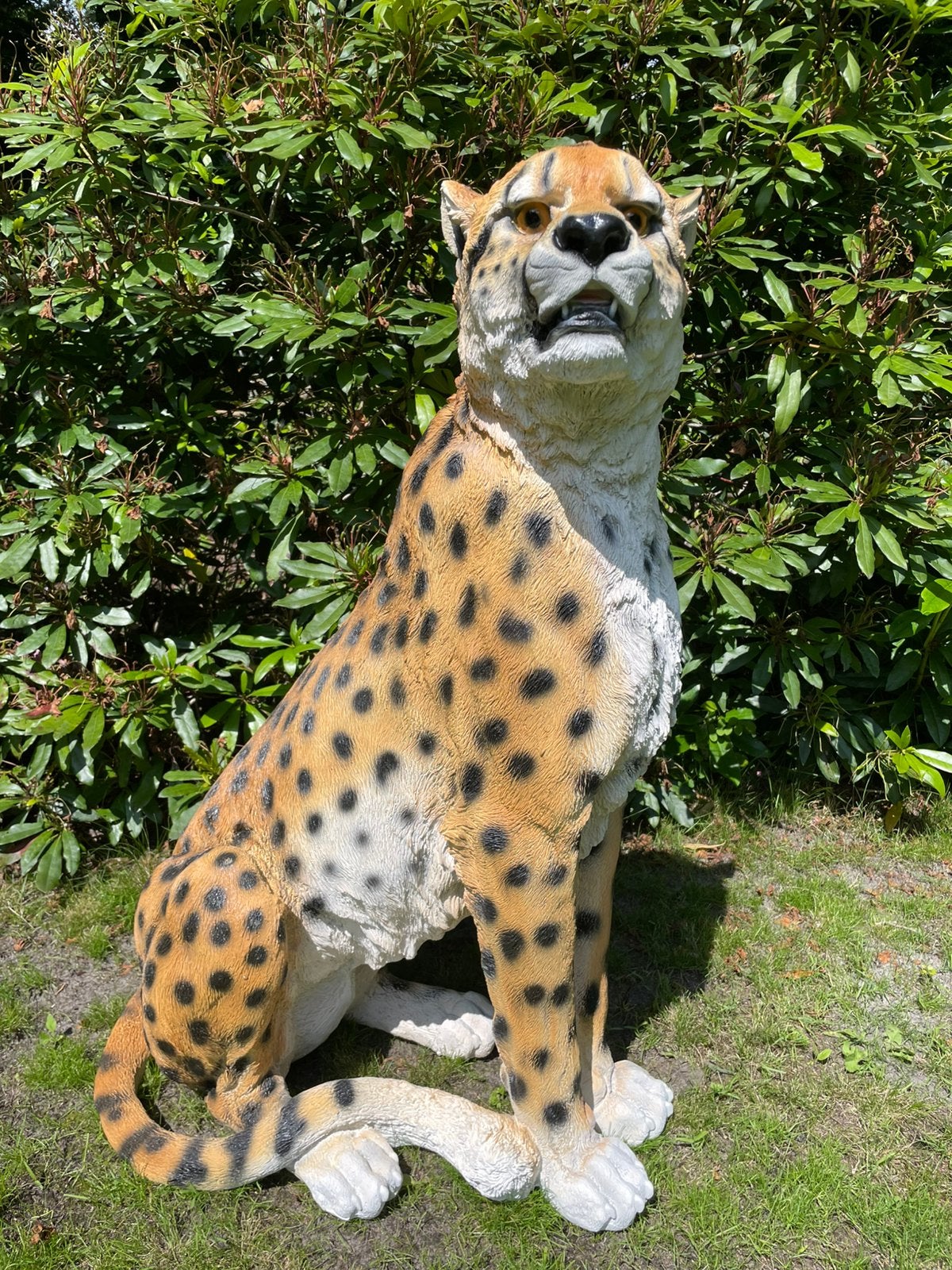 Luipaard cheeta dier leopard tuinbeeld tuin, Ophalen, Nieuw, Kunststof, Dierenbeeld