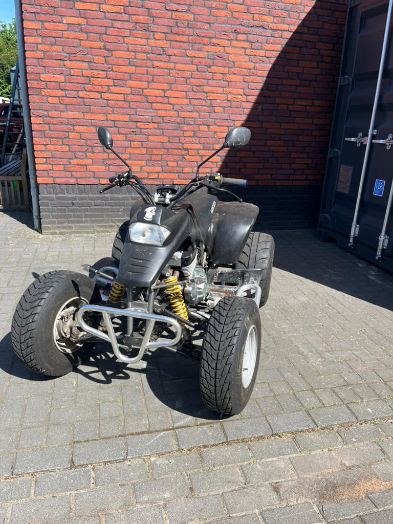Barossa 250 Cheetah quad, Motoren, 1 cilinder, 11 kW of minder
