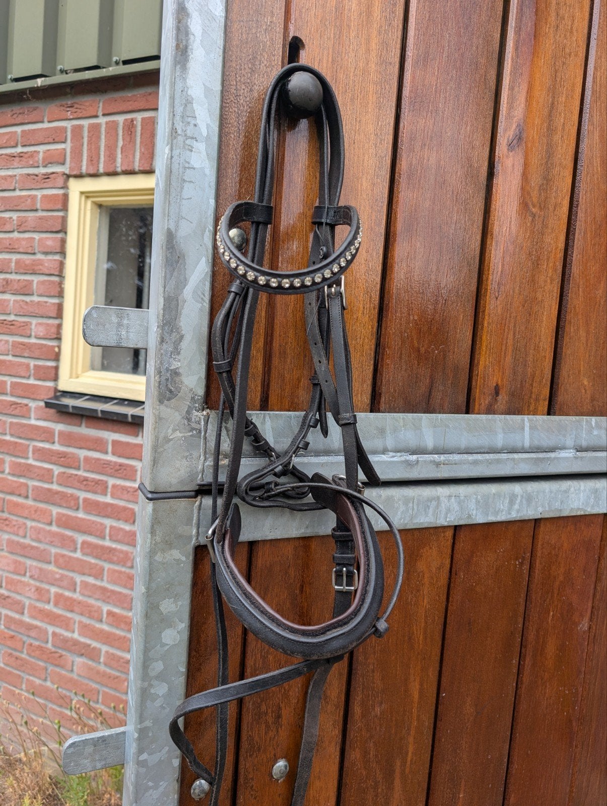 Hoofdstel maat full, Ophalen of Verzenden, Nieuw, Dressuur