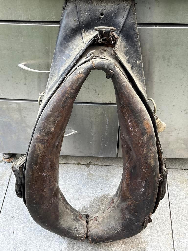 Paardenhaam, Dieren en Toebehoren, Ophalen of Verzenden