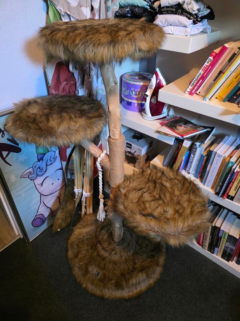 Boony Est. Klimboom houten krabpaal, Dieren en Toebehoren, Katten-accessoires, Ophalen