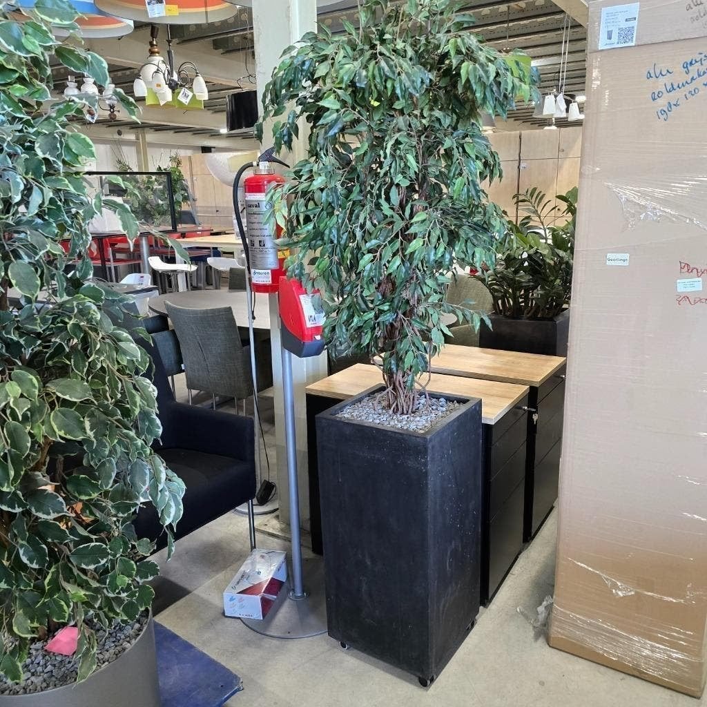 Grote kunstplant in verrijdbare pot | 200 cm hoog, Ophalen, Gebruikt