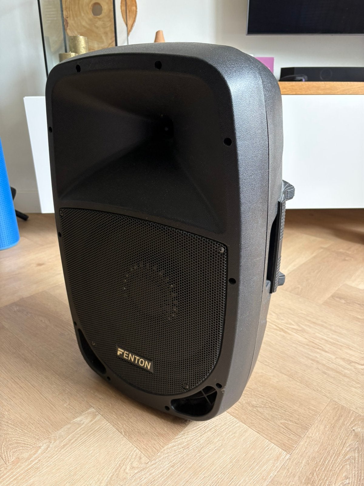 Fenton speaker full range, Audio, Tv en Foto, Luidsprekers, Gebruikt, Ophalen, 150 watt of meer, Overige merken