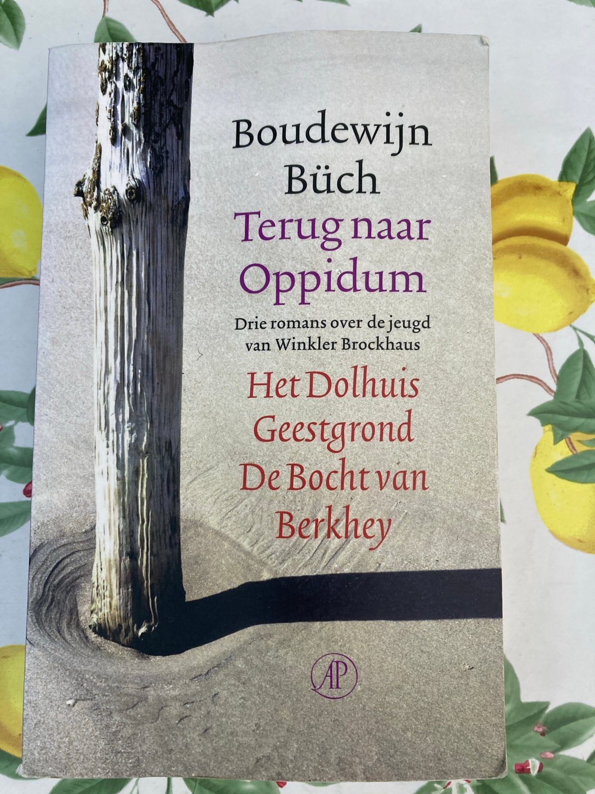 Bb B. Buch - Terug naar Oppidum, Boeken, Ophalen of Verzenden, Zo goed als nieuw, B. Buch