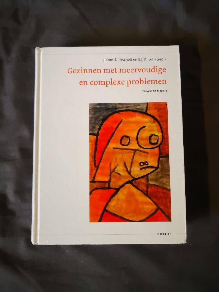 Gezinnen met meervoudige en complexe problemen, Boeken, Studieboeken en Cursussen, Zo goed als nieuw, HBO, Beta, Ophalen of Verzenden