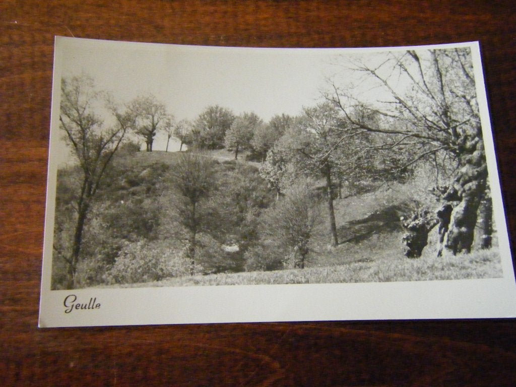 B38 - Geulle - Penderjansknub - 1953 - Mooi/Oud, Verzamelen, Ansichtkaarten | Nederland, Ophalen of Verzenden, 1940 tot 1960, Limburg