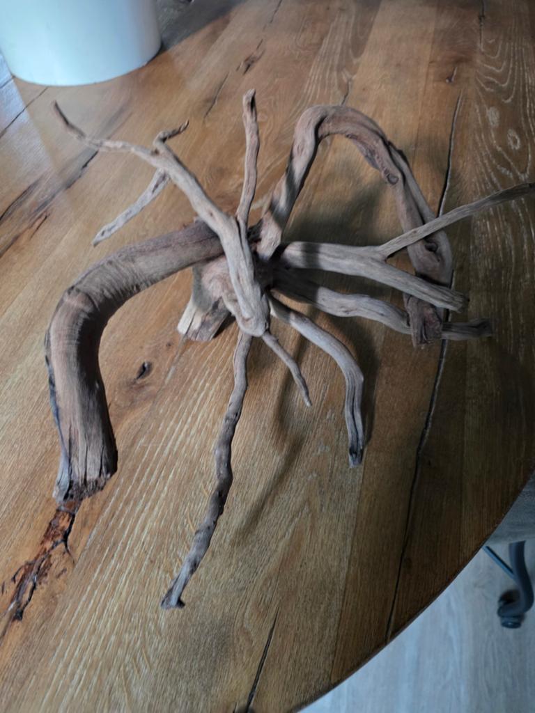 Mooi stuk kienhout te koop., Dieren en Toebehoren, Ophalen, Plant(en), Steen of Hout