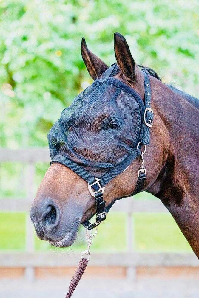 Harry's Horse Vliegenmasker Halster Pony, Ophalen of Verzenden, Nieuw, Recreatie