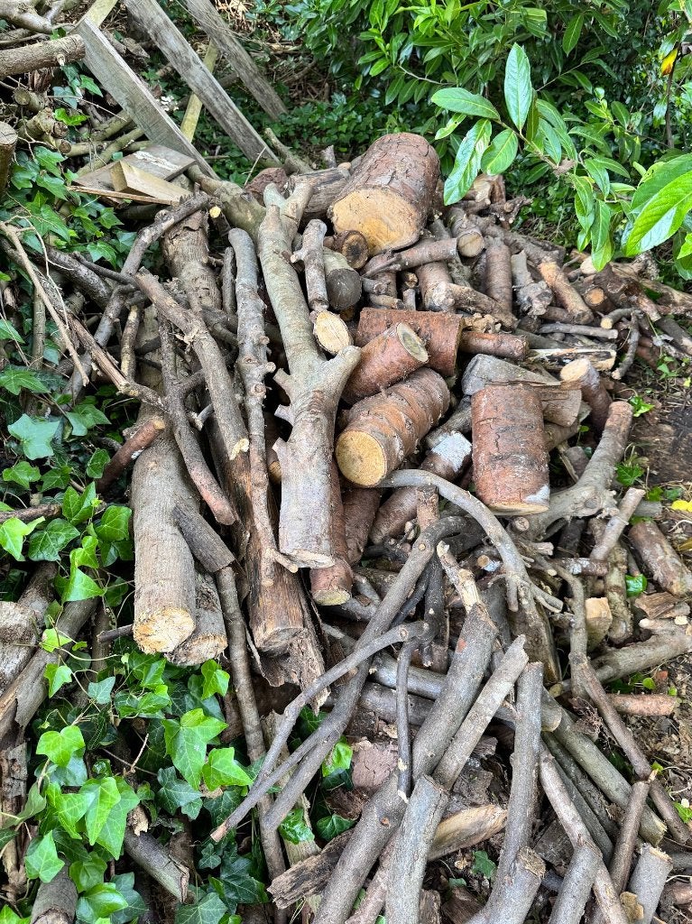 GRATIS haardhout! Haagbeuk, essen, els, berken, douglas, 3 tot 6 m³, Ophalen, Beukenhout, Blokken