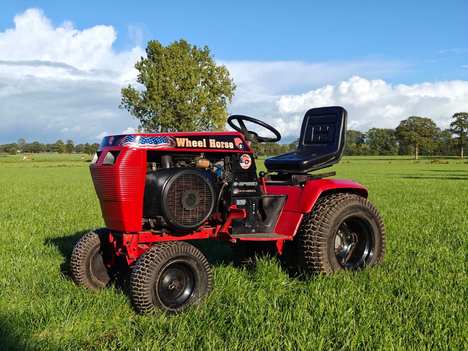 Wheel Horse Onan 16 Special Edition Zitmaaier, Ophalen