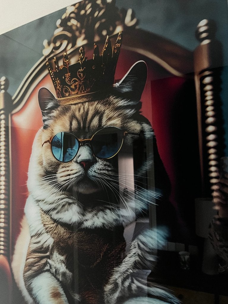 Schilderij glas - kat, Ophalen, Zo goed als nieuw, Schilderij, 75 – 100