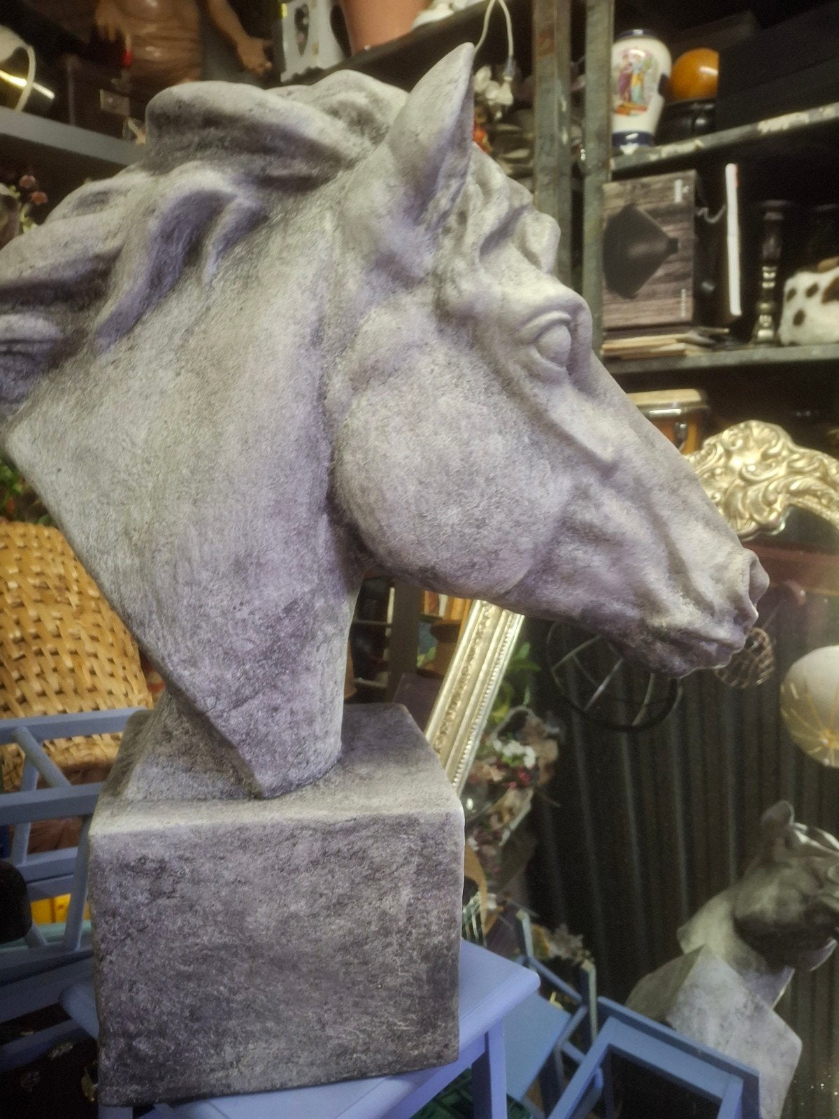 Super gaaf paardenhoofd, ca. 60 cm hoog, Ophalen, Dier