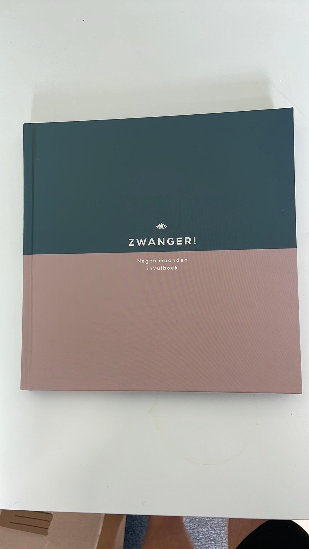Leukigheidjes - Zwanger! negen maanden invulboek, Boeken, Ophalen of Verzenden, Leukigheidjes