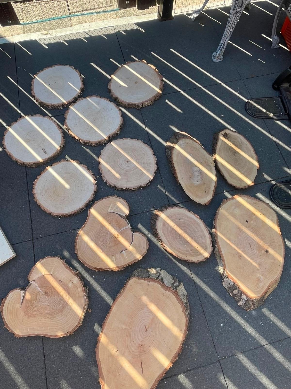 Berkenhout en eikenhout schijven -  €5 per stuk, Ophalen, Overige typen, Nieuw, Minder dan 200 cm