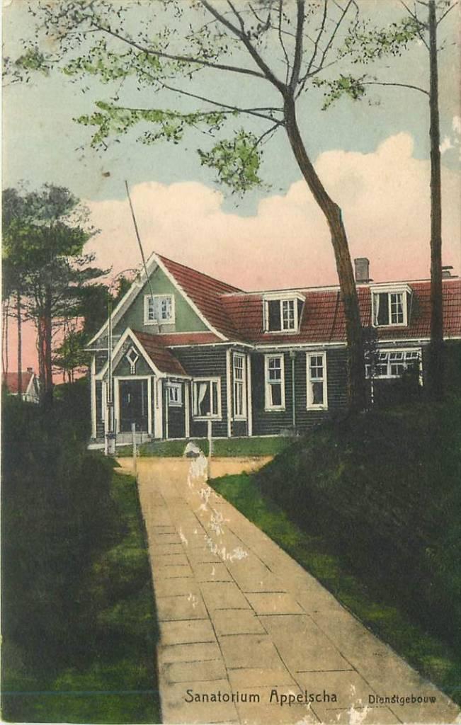 381-280-011 Sanatorium Appelscha, Verzenden, Voor 1920, Friesland