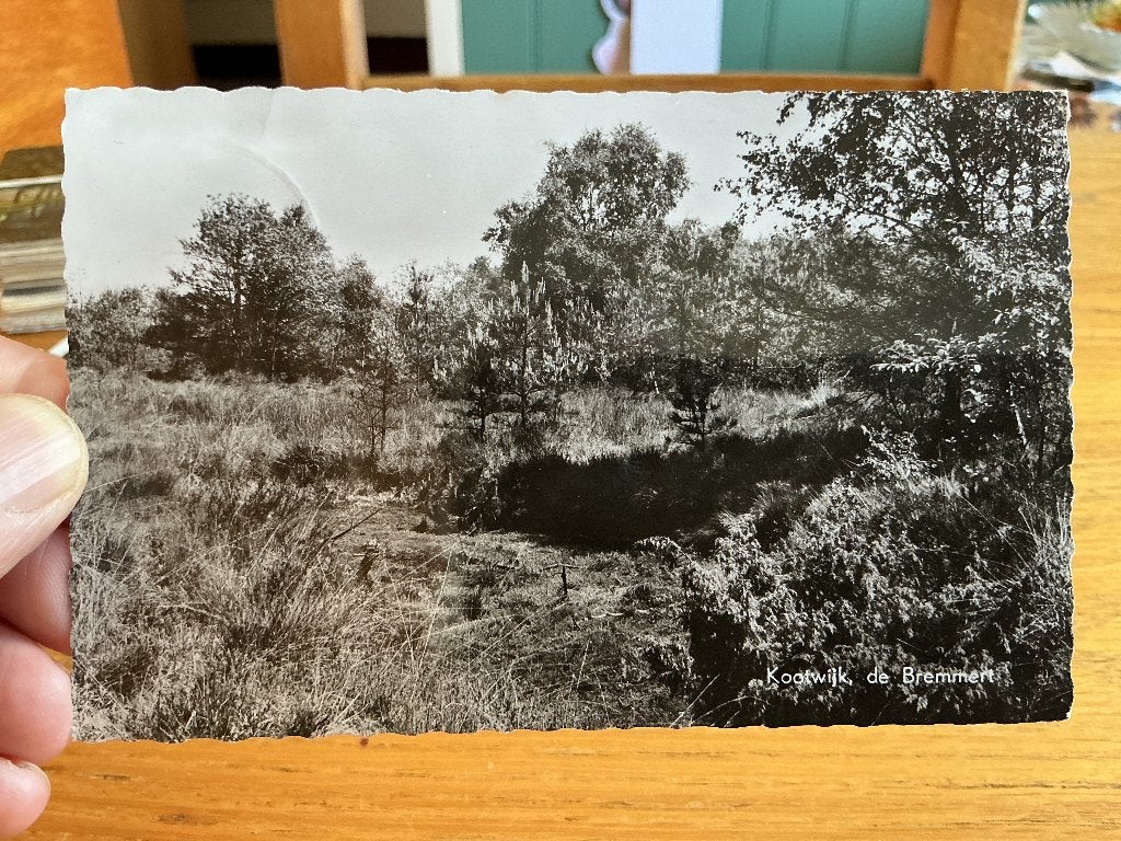 Kootwijk de Bremmert, Verzamelen, Verzenden, 1940 tot 1960, Gelopen, Utrecht