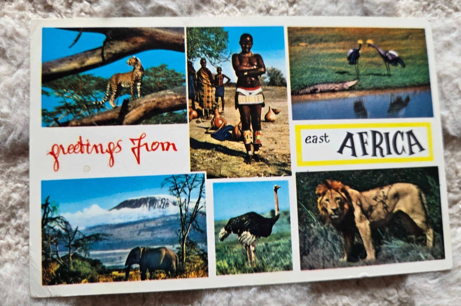 Oost-Afrika: Dieren, Masai & Landschap, Verzenden, 1960 tot 1980, Gelopen, Buiten Europa