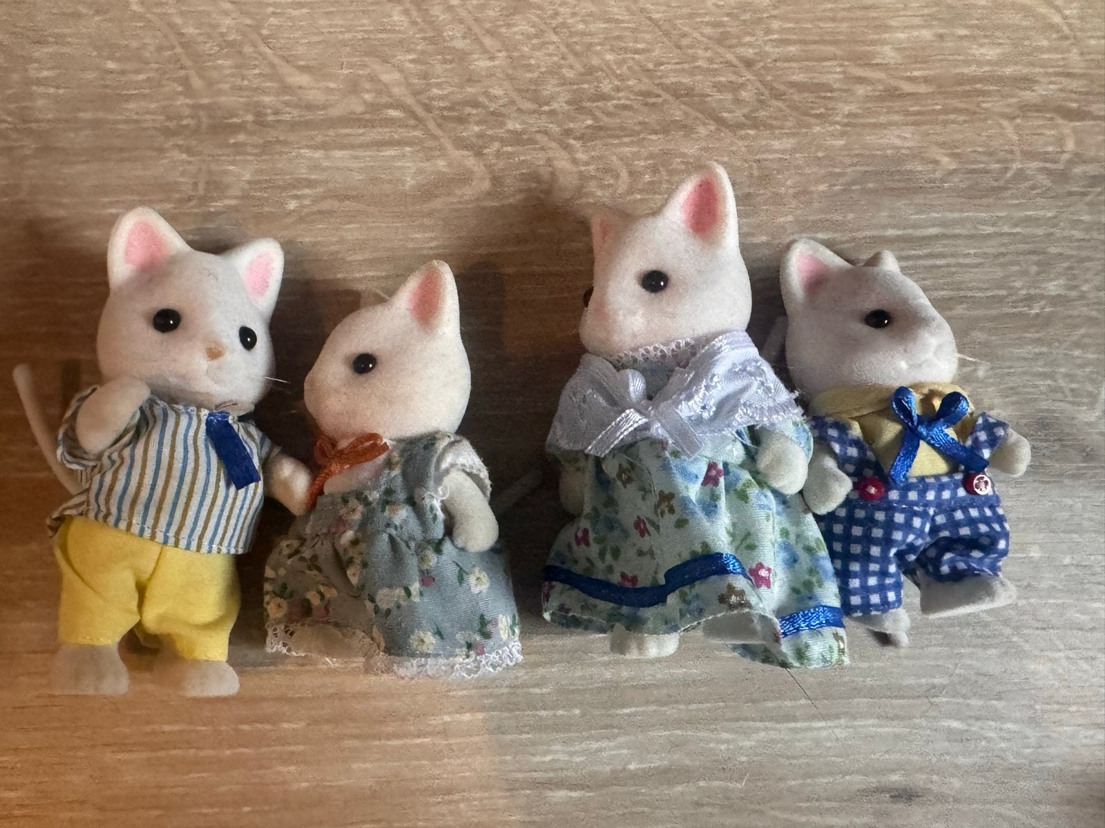 Sylvanian Families Zijdekat Familie - 4 Figuren, Ophalen of Verzenden, Gebruikt, Jongen of Meisje
