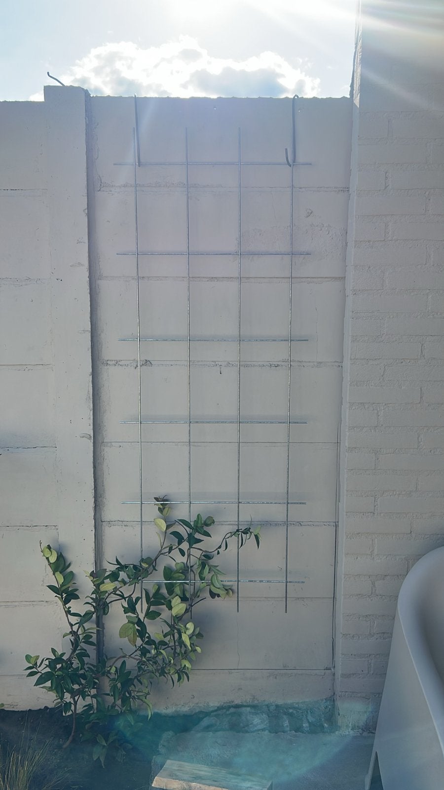3x Metalen Klimrek voor Klimplanten + 2x Ophangsysteem, Ophalen, Eenjarig, Klimplanten, Volle zon