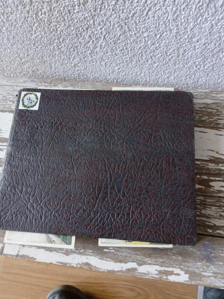 Verzameling album fotos plaatjes, Verzamelen, Foto's en Prenten, Ophalen of Verzenden, Voor 1940, Gebruikt, Overige onderwerpen