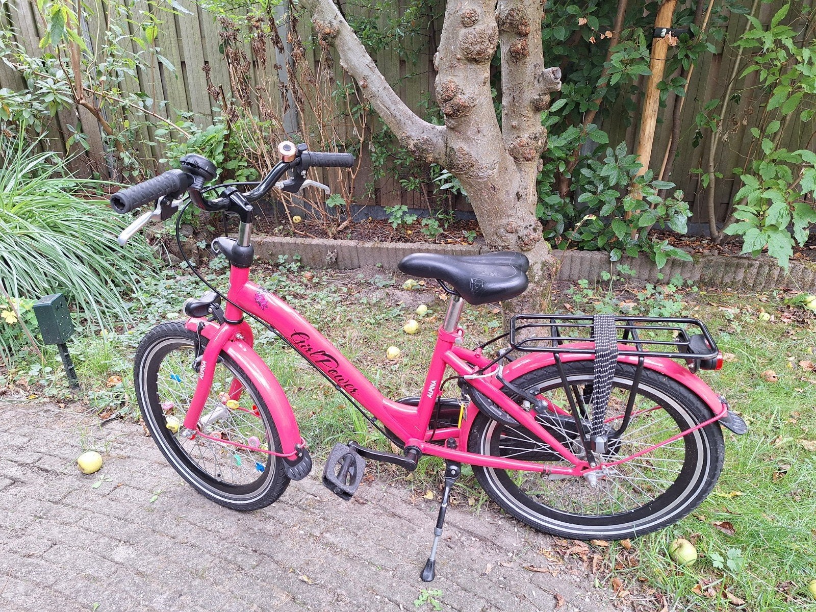 Alpina Girlpower 20 inch meisjesfiets roze, Fietsen en Brommers, Ophalen, Terugtraprem, Gebruikt, Alpina