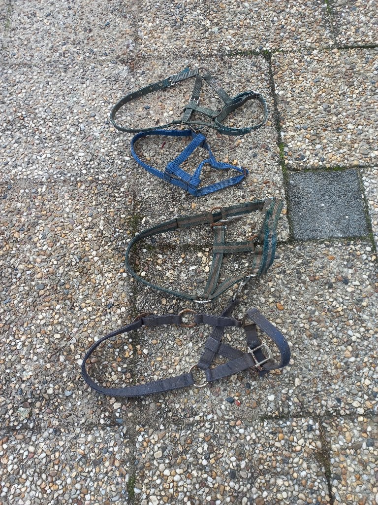 ponyhalsters, Dieren en Toebehoren, Ophalen of Verzenden, Gebruikt, Halster