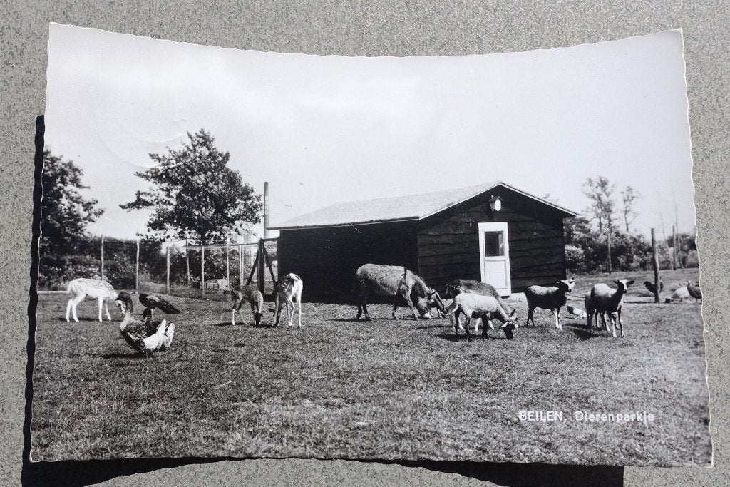 ansichtkaart Drenthe e/o nr. 3 - Beilen, Verzamelen, Ansichtkaarten | Nederland, Ophalen of Verzenden, 1940 tot 1960, Gelopen