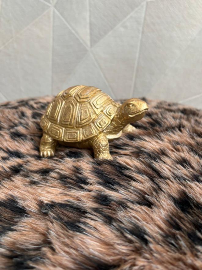 Countryfield Gouden Schildpad Beeldje Decoratie, Ophalen of Verzenden, Zo goed als nieuw, Dier