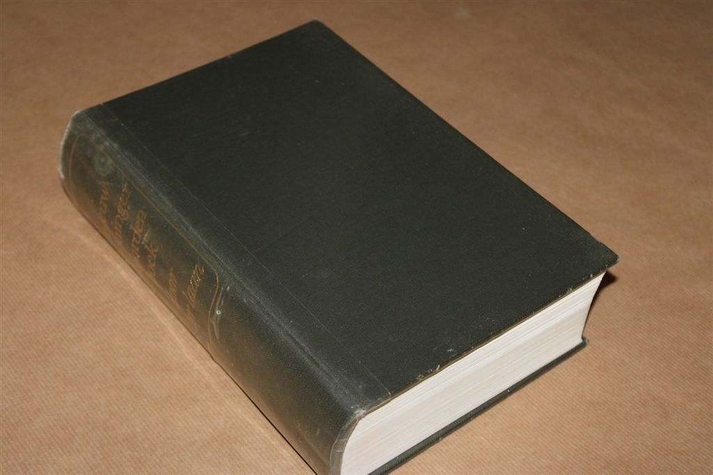 Nieuw Groninger Woordenboek - K. ter Laan, Ophalen of Verzenden, Zo goed als nieuw