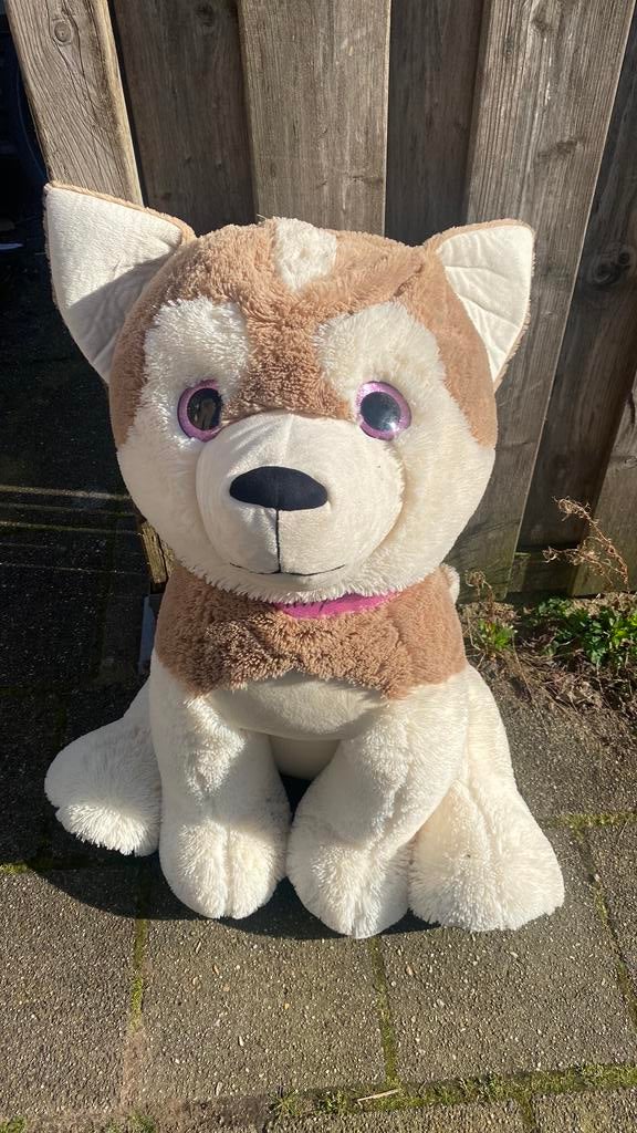Grote knufel husky hond, Ophalen of Verzenden, Zo goed als nieuw, Hond
